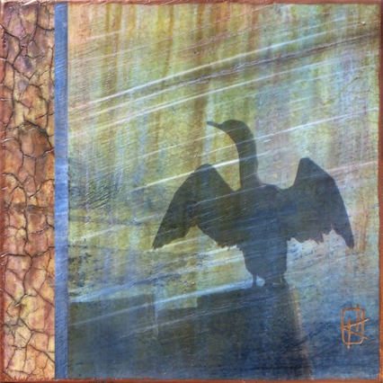 Cormorant Cormorant